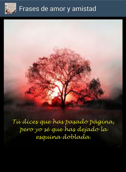 Frases de amor y amistad - Preview 8