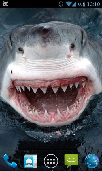 Magic Touch Shark Attack - Preview 5