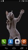 Dancing Cat screenshot 2