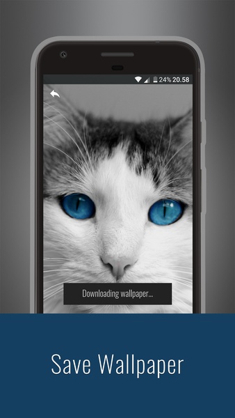Cats Wallpapers - Preview 5
