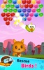 Bird Pop: Bubble Shooter Games screenshot 5