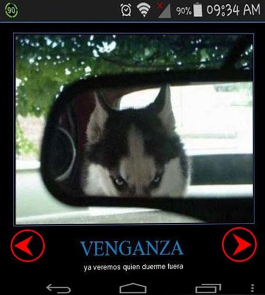 imagenes de todo - Preview 1