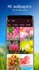 Tulip Wallpapers 4K screenshot 5