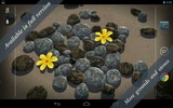 3D Zen Stones Free screenshot 4