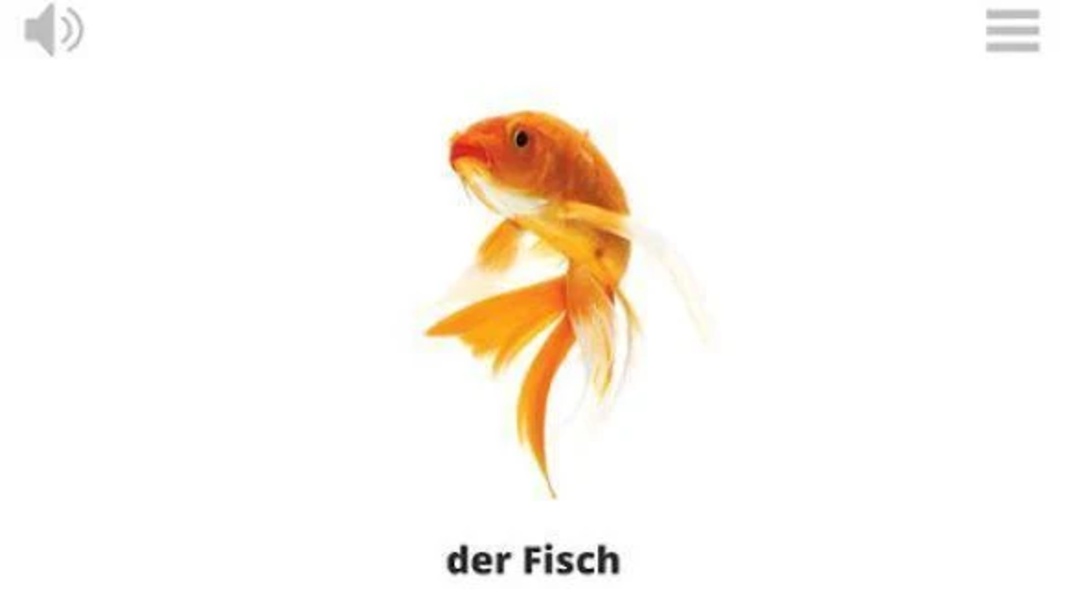 Play & Learn GERMAN - Preview 9