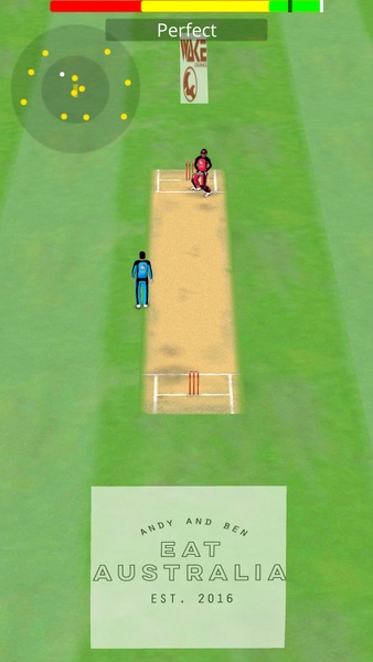 Smashing Cricket - Preview 8