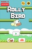 Rolly Bird screenshot 13