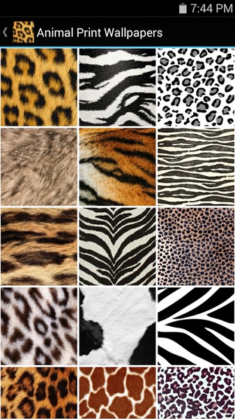 Animal Print Wallpapers - Preview 2