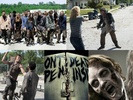 The Walking Dead Screensaver screenshot 1