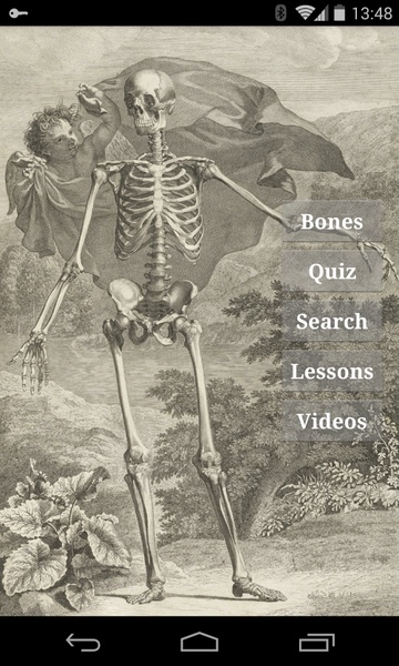 Bones - Preview 11