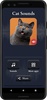 Cat Sounds screenshot 7