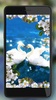 Swans Live Wallpaper screenshot 4