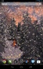 Winter Snowfall Live Wallpaper screenshot 8