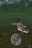 Fishing HD Lite screenshot 2