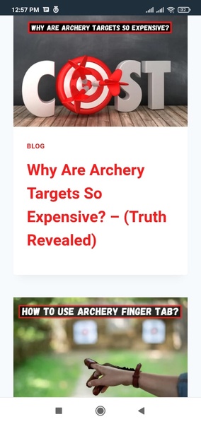 Archery Pick - Preview 4
