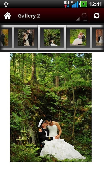 Wedding Portrait Posing Guide - Preview 2