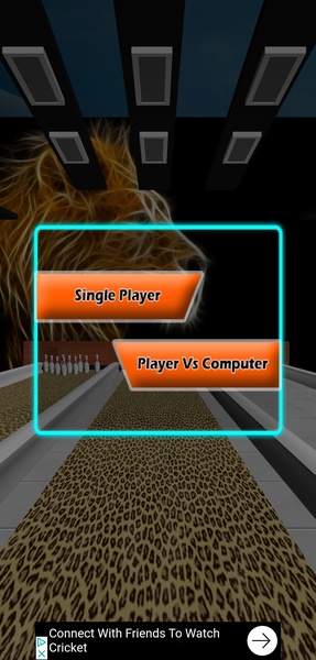 3D Bowling With Wild - Preview 3
