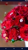 Red Rose Live Wallpaper screenshot 2