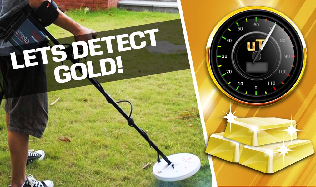 Gold Metal Detector - Preview 4