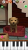 Sweet Talking Puppy: Funny Dog screenshot 6