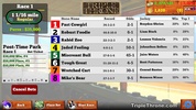 Triple Throne Horse Racing screenshot 2