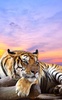 Wild animals Live Wallpaper screenshot 4