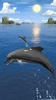 Dolphins live wallpaper screenshot 6