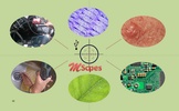 MScopes for USB Camera Webcam screenshot 2