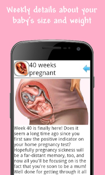 Pregnancy week guide - Preview 1
