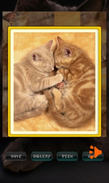 Cat Puzzles - Preview 6