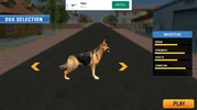 Dog Life Simulator 3D Game screenshot 7