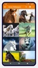 Horse Wallpapers screenshot 6