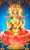 Lakshmi Maa Wallpapers screenshot 6