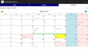 StraightCalendar screenshot 14