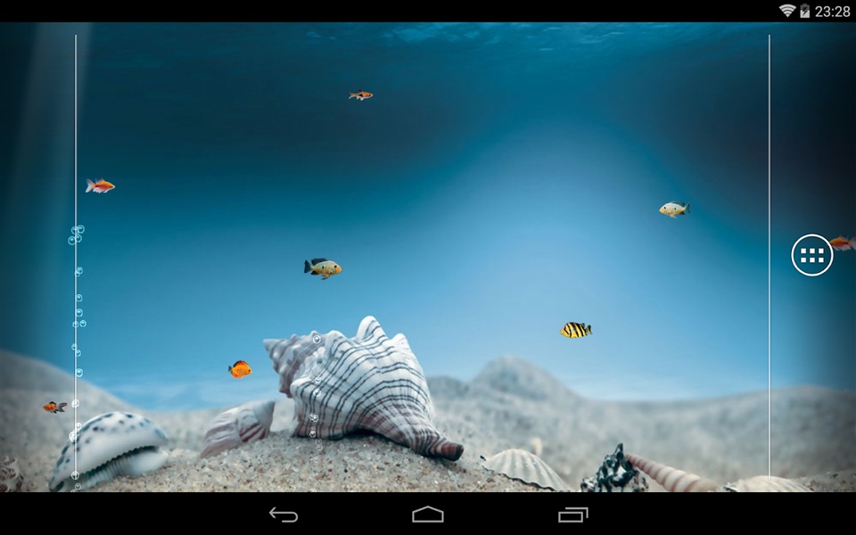 aquarium - Preview 4