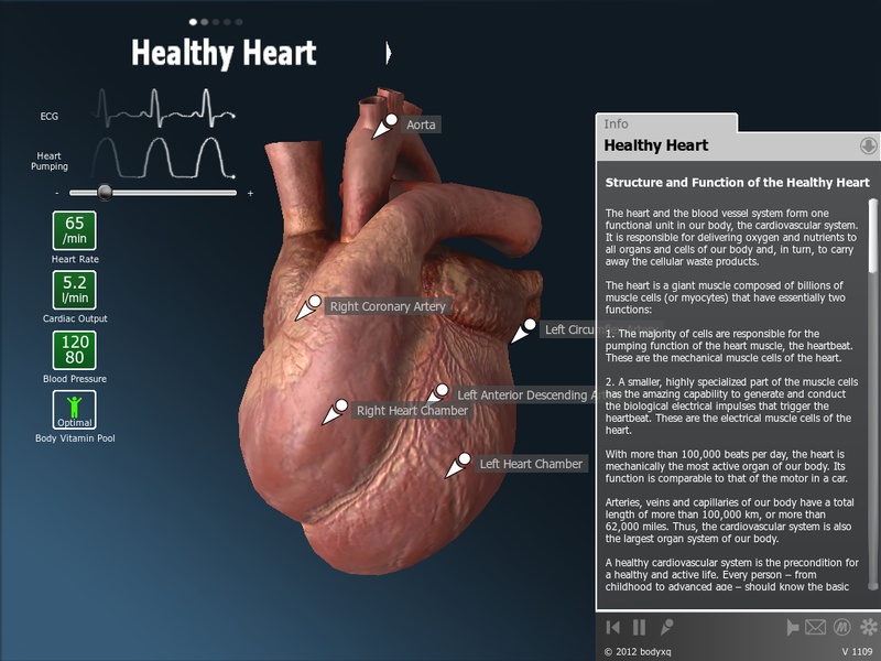 bodyxq heart - Preview 8