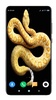 Snake Wallpaper HD screenshot 5