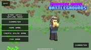 Private Pixel Battlegrounds screenshot 2