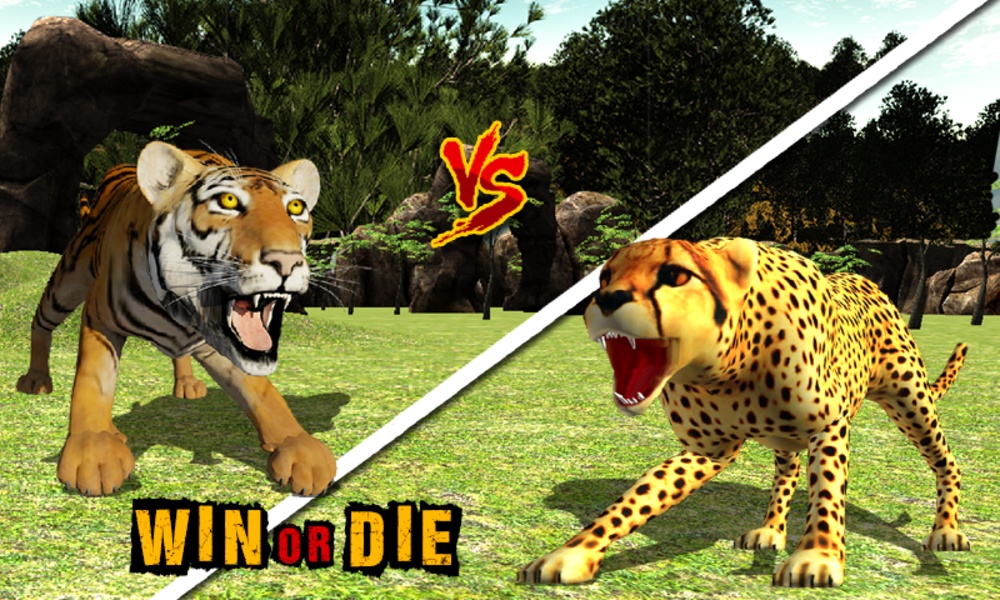 African Cheetah Wildlife - Preview 15
