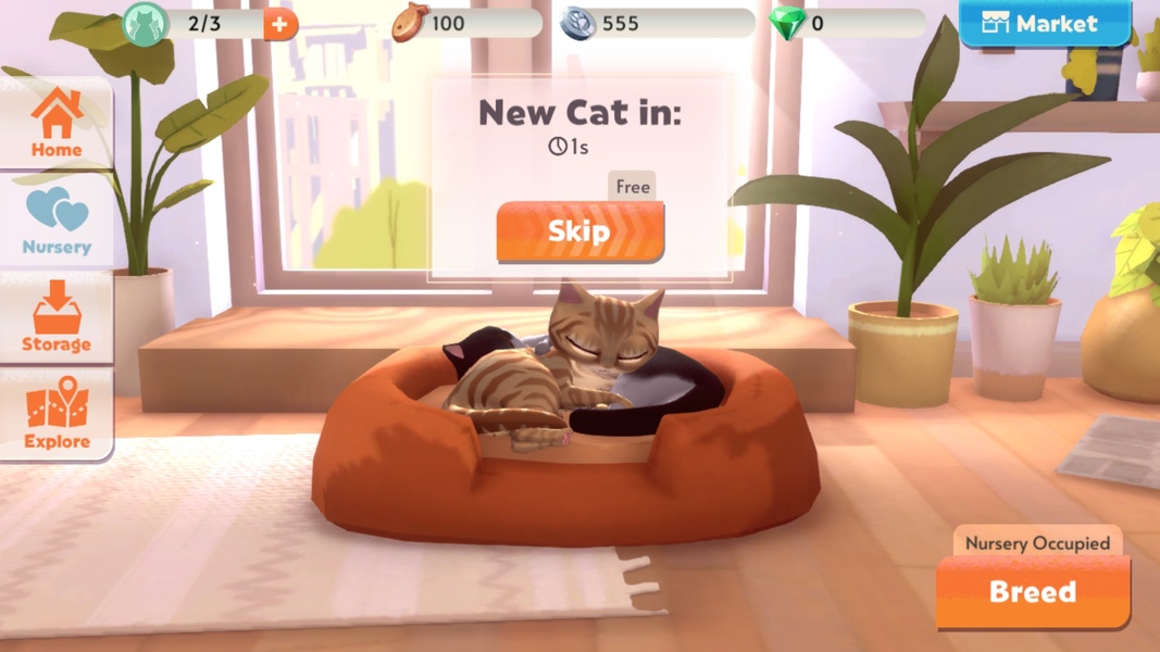 My Cat Club - Preview 6