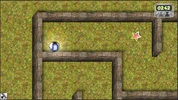 Magical Maze 3D screenshot 9