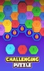 Hexa Sort: Color Puzzle Game screenshot 7