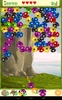 Koala Bubble Shooter screenshot 2