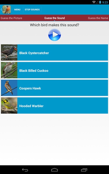 North American Birds Sounds - Preview 4