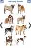 Dog Breeds 🐶 Golden Retriever | Rottweiler screenshot 20