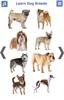 Dog Breeds Golden Retriever | Rottweiler screenshot 21