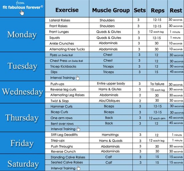 Complete Gym Guide - Preview 1