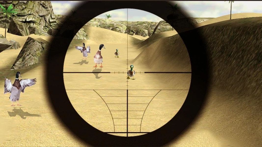 Birds Hunter In Desert - Preview 3