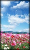 Flowers Live Wallpaper screenshot 6