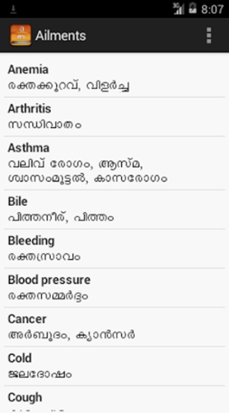 Orchid English Useful Words - Preview 2